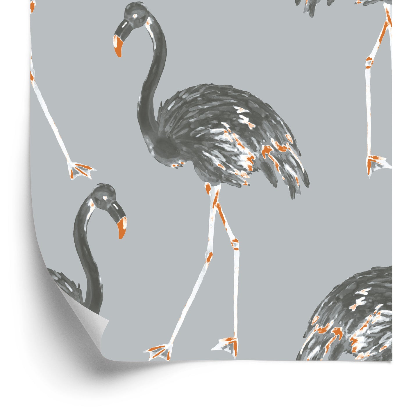 Wallpaper Flamingos As Painted