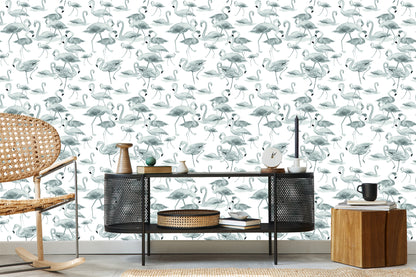 Wallpaper Flamingos Birds Nature Salon
