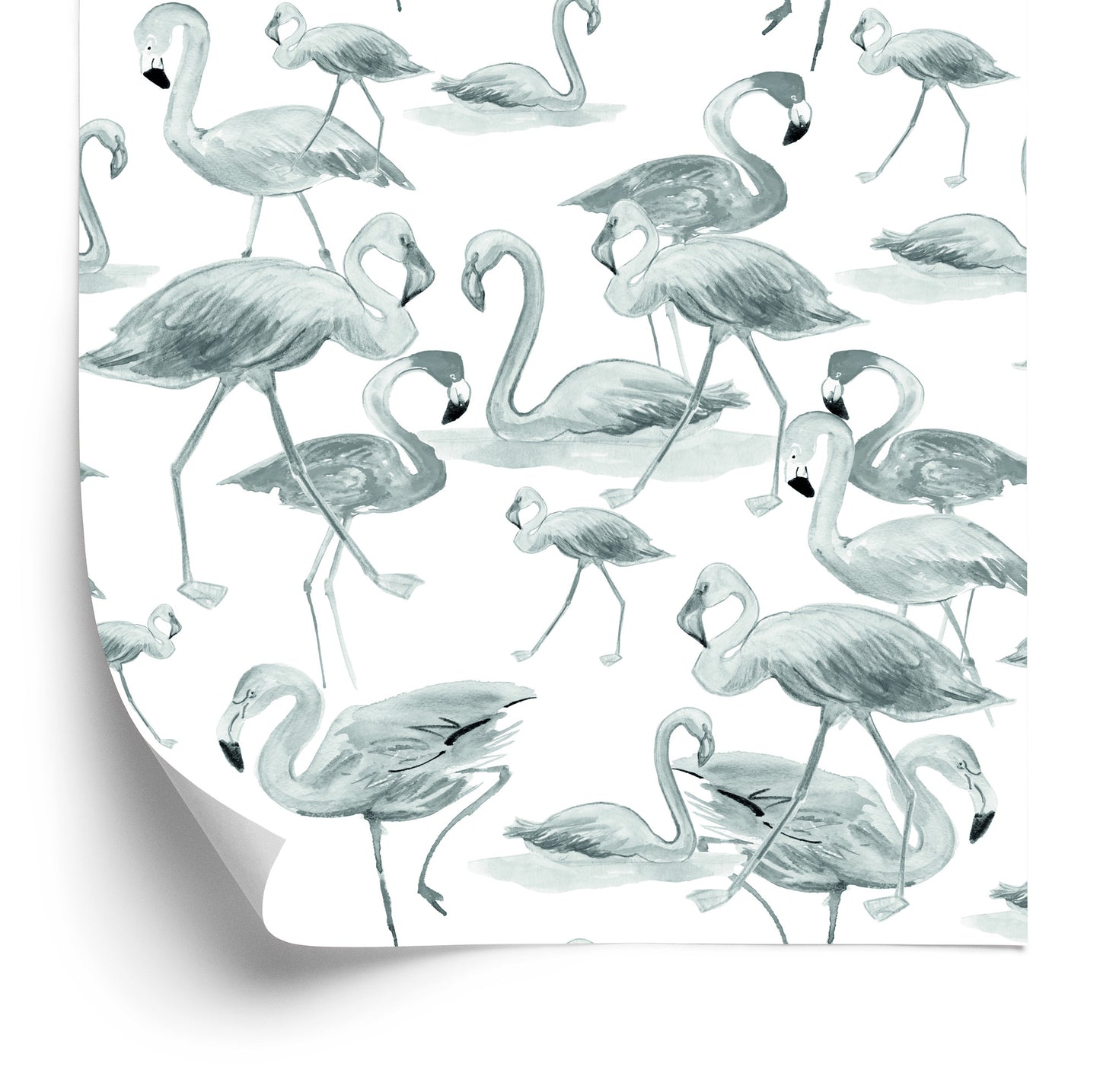 Wallpaper Flamingos Birds Nature Salon