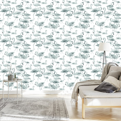 Wallpaper Flamingos Birds Nature Salon