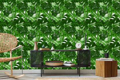 Wallpaper Exotic Leaves Plants
