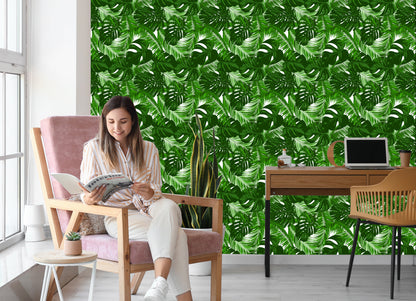 Wallpaper Exotic Leaves Plants