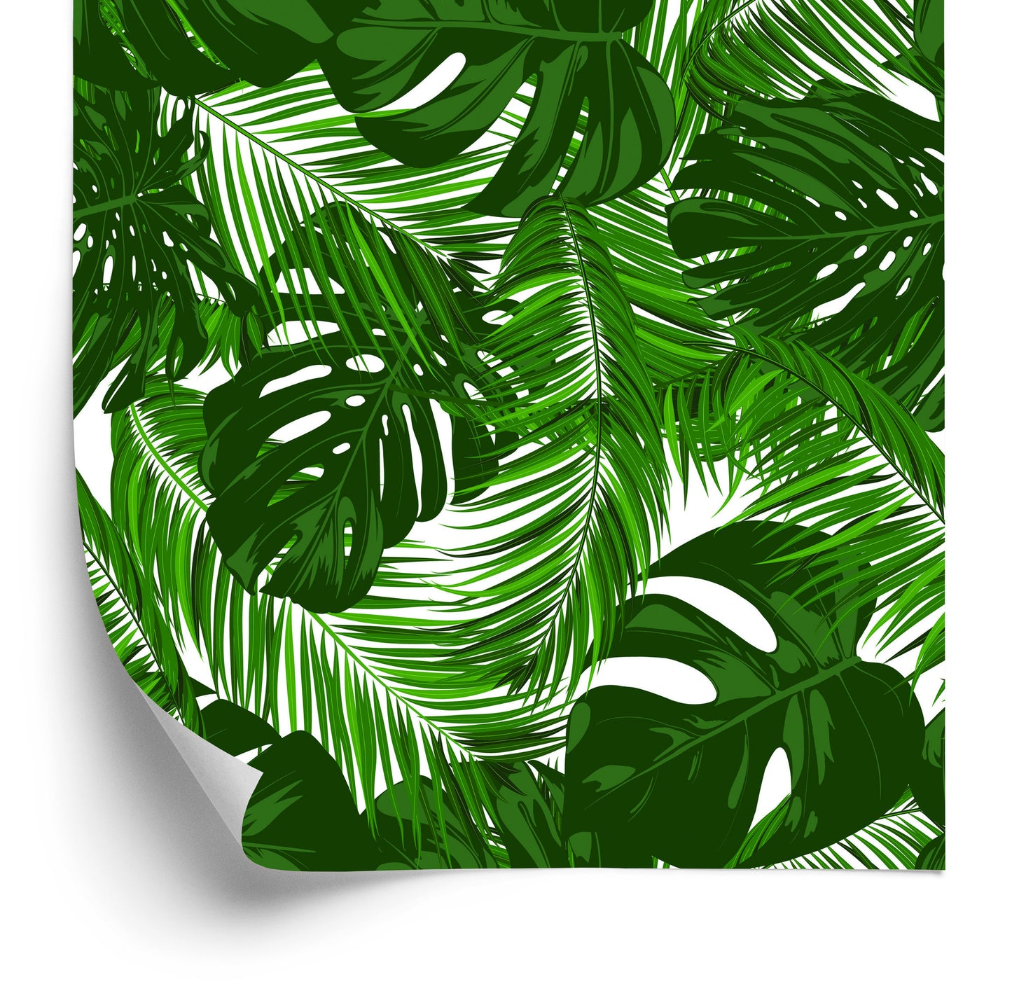 Wallpaper Exotic Leaves Plants