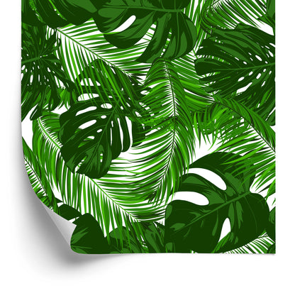 Wallpaper Exotic Leaves Plants