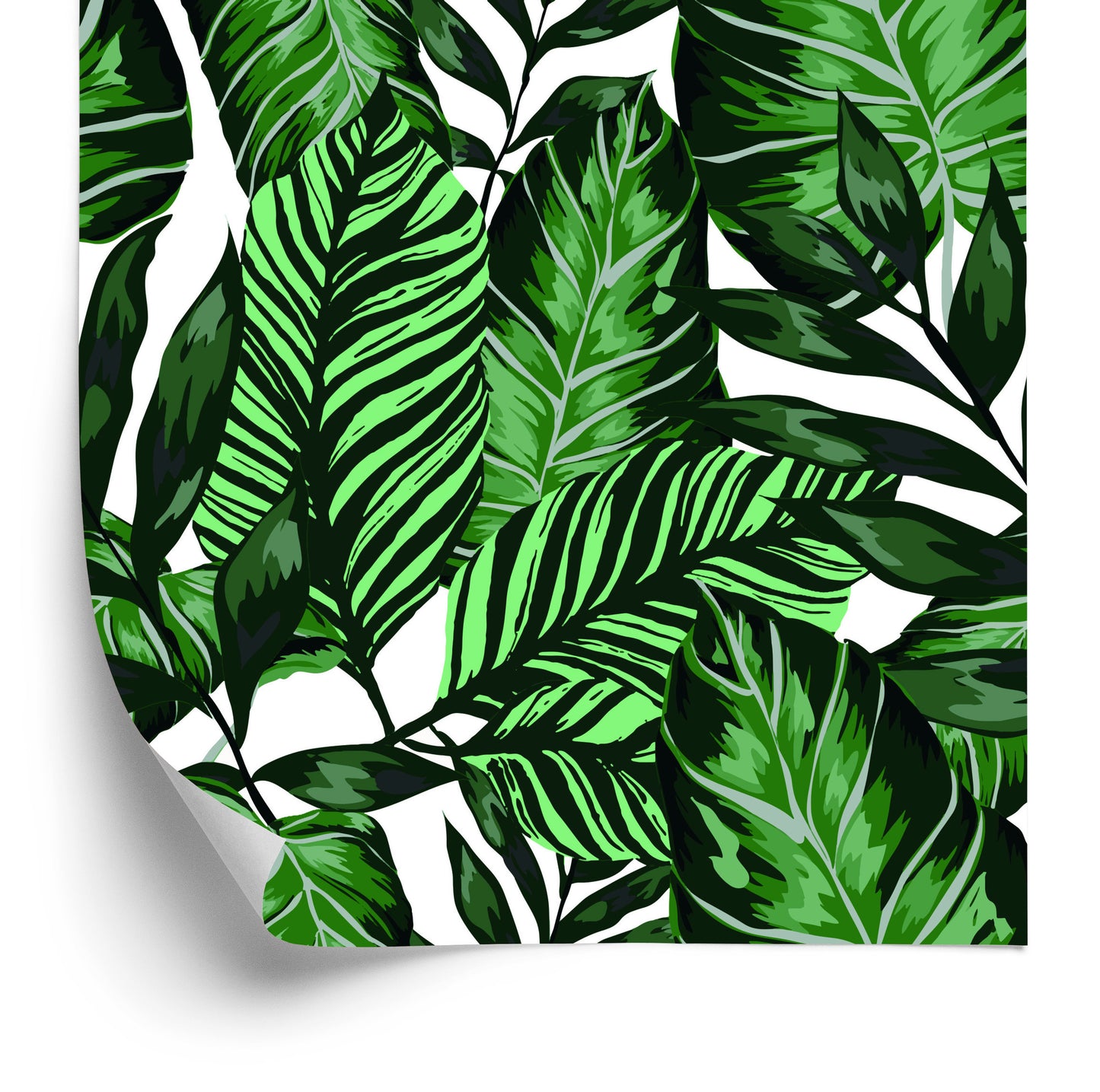 Wallpaper Tropical Leaves In Watercolor
