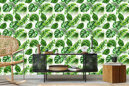 Wallpaper Tropical Leaves Jungle