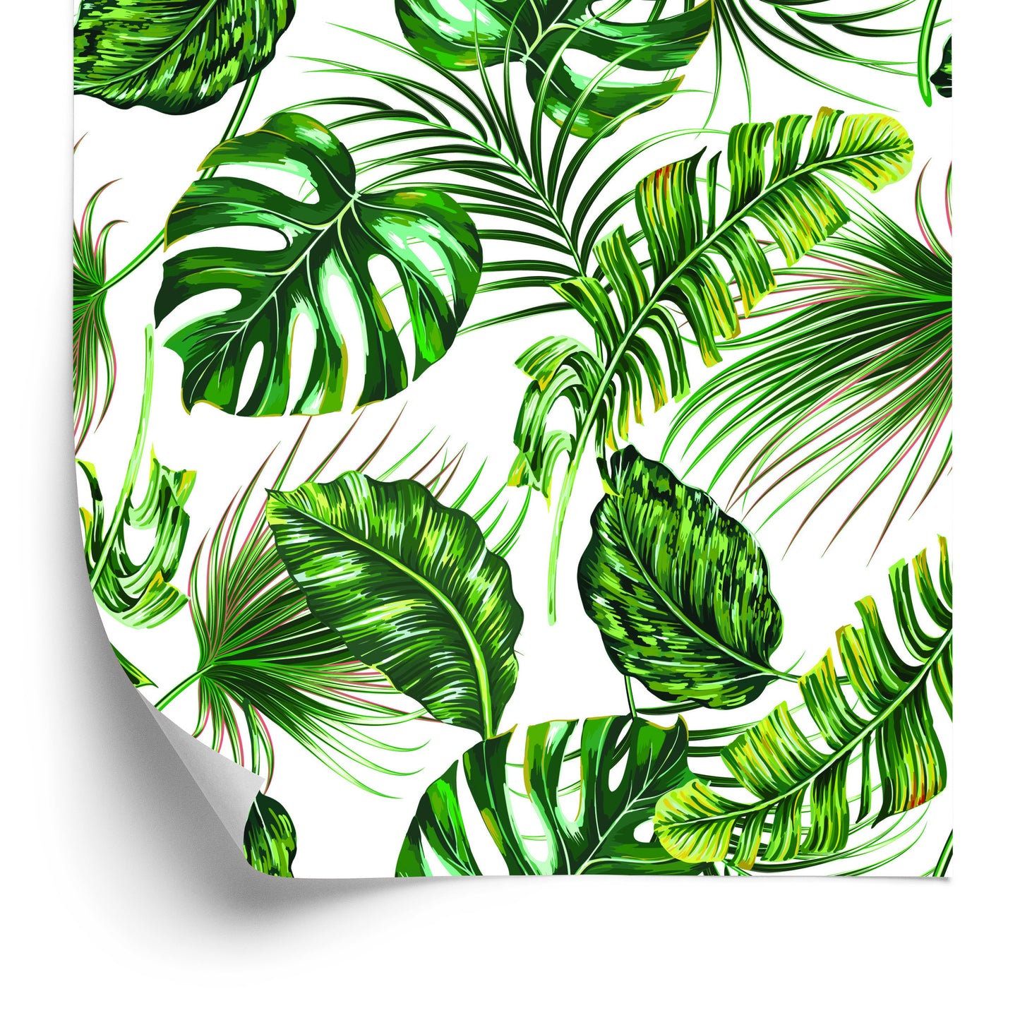 Wallpaper Tropical Leaves Jungle