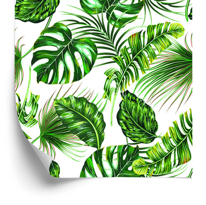 Wallpaper Tropical Leaves Jungle