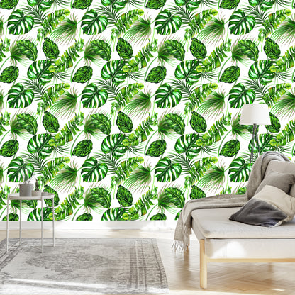 Wallpaper Tropical Leaves Jungle