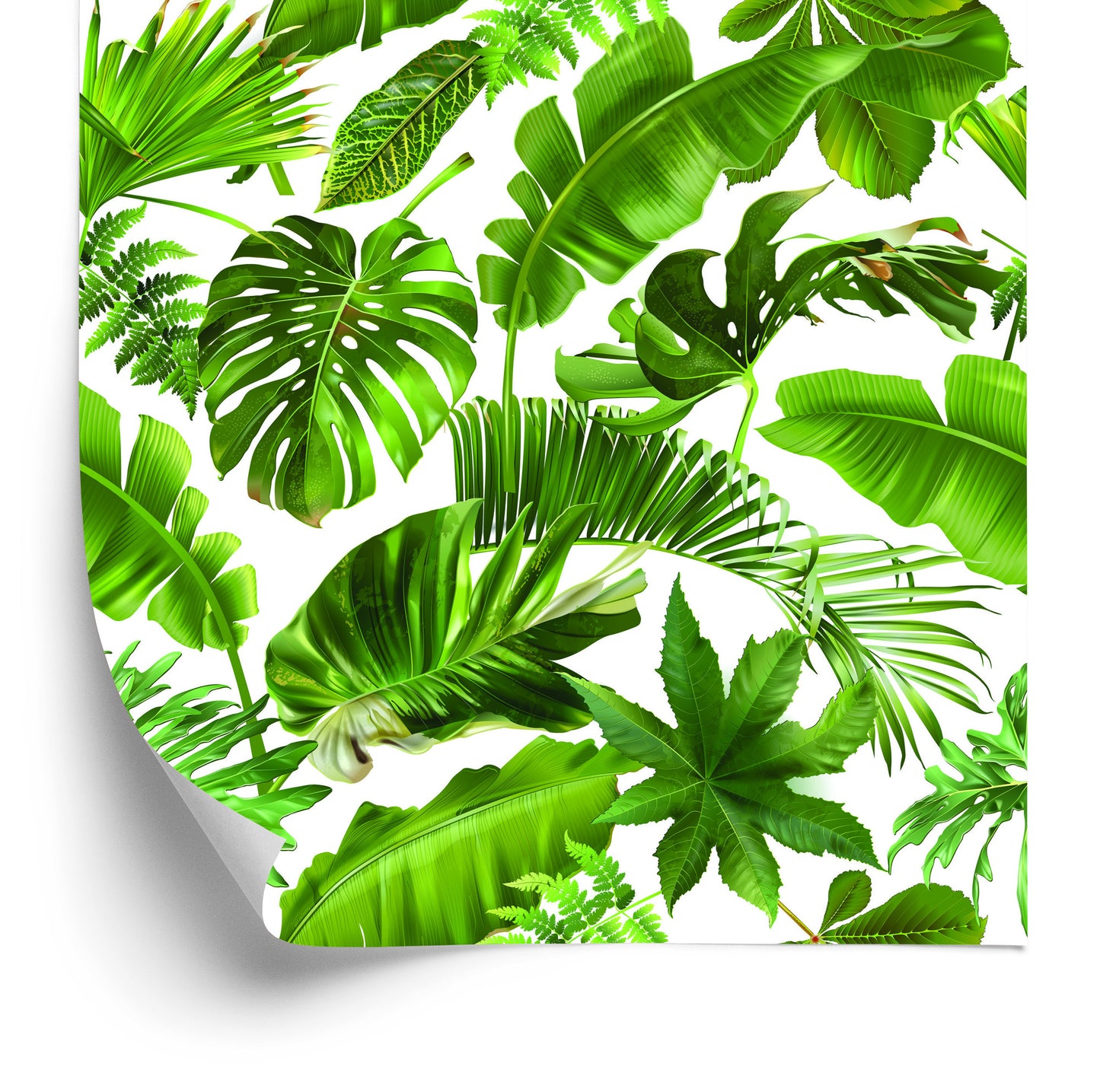 Wallpaper Tropical Leaves