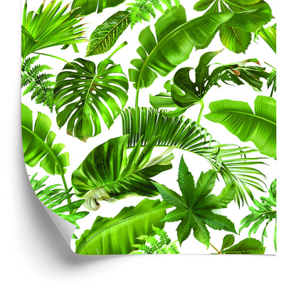 Wallpaper Tropical Leaves