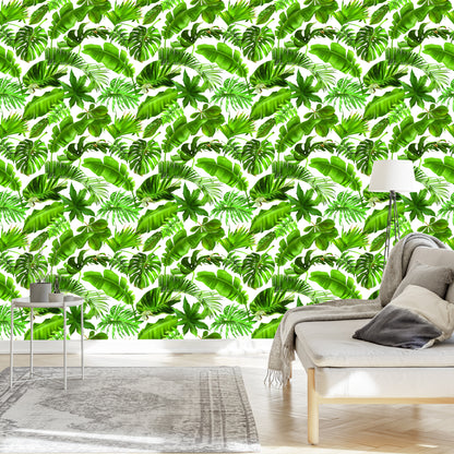 Wallpaper Tropical Leaves