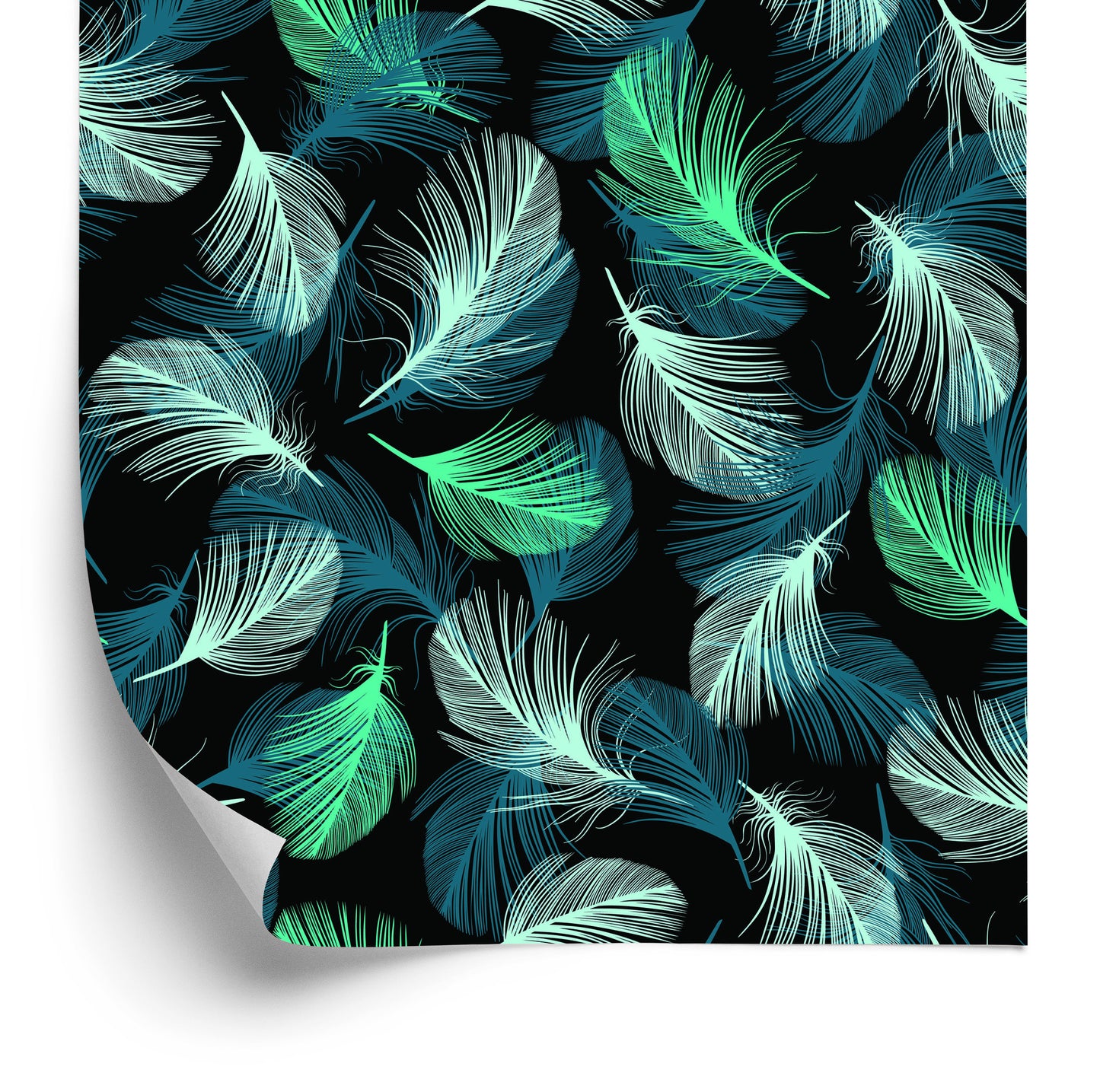 Wallpaper Turquoise Feathers On Black Background