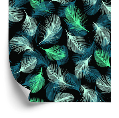 Wallpaper Turquoise Feathers On Black Background