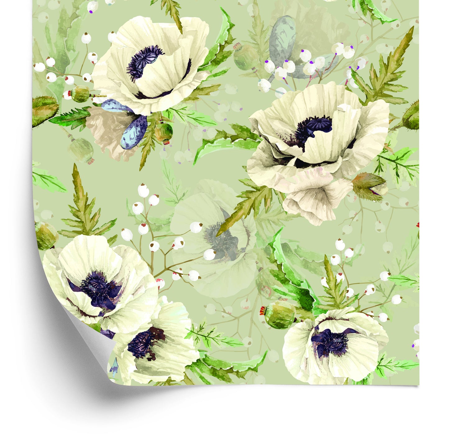 Wallpaper Poppies Painted With Watercolor