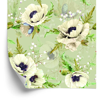 Wallpaper Poppies Painted With Watercolor