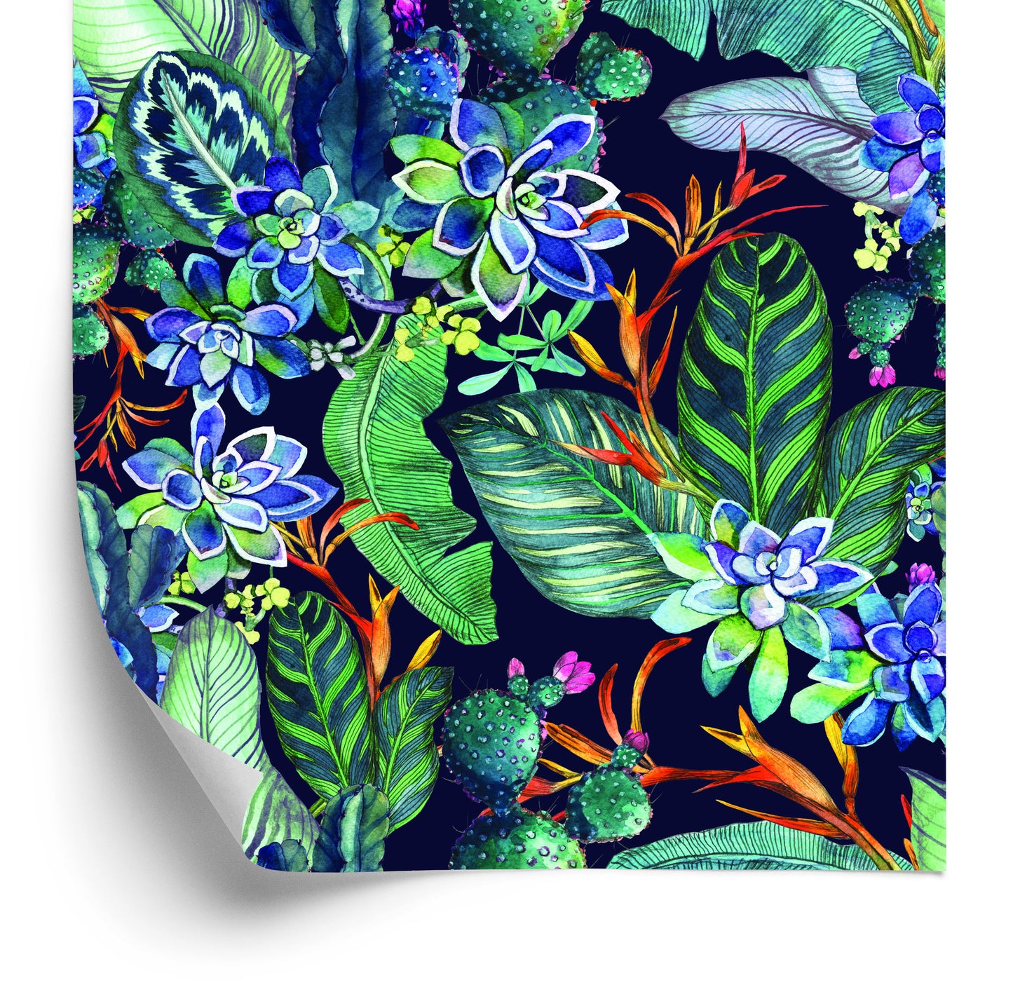 Wallpaper Succulents And Tropical Leaves