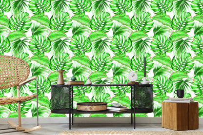 Wallpaper Colored Leaves Exotic