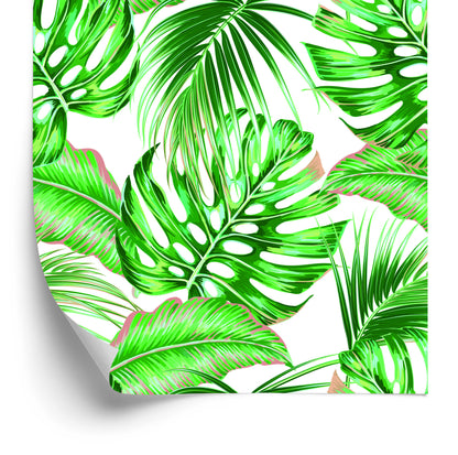 Wallpaper Colored Leaves Exotic
