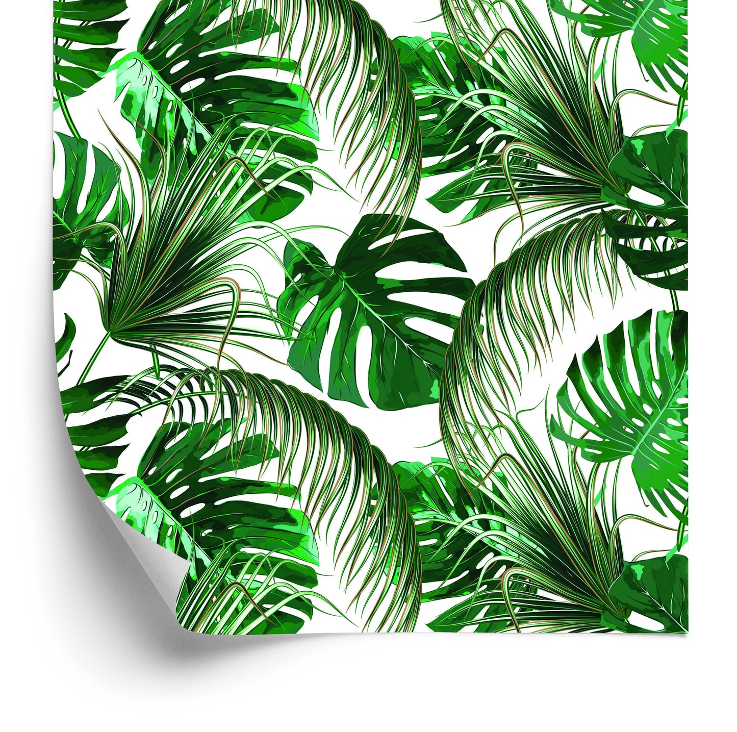 Wallpaper Beautiful Colored Tropical Leaves