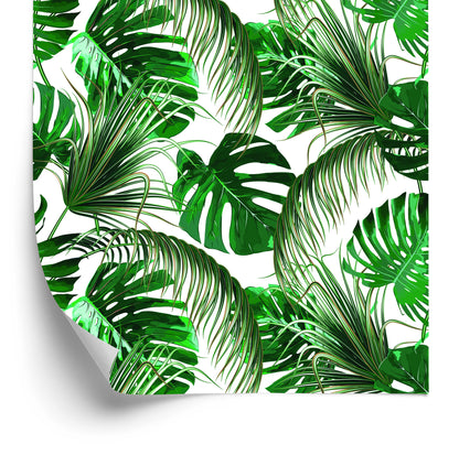 Wallpaper Beautiful Colored Tropical Leaves