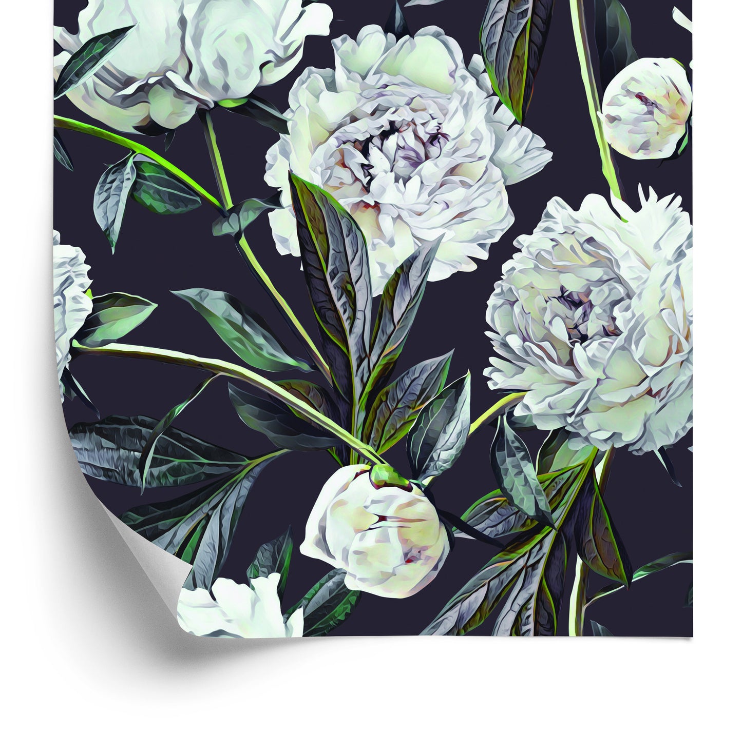 Wallpaper Peony Watercolor