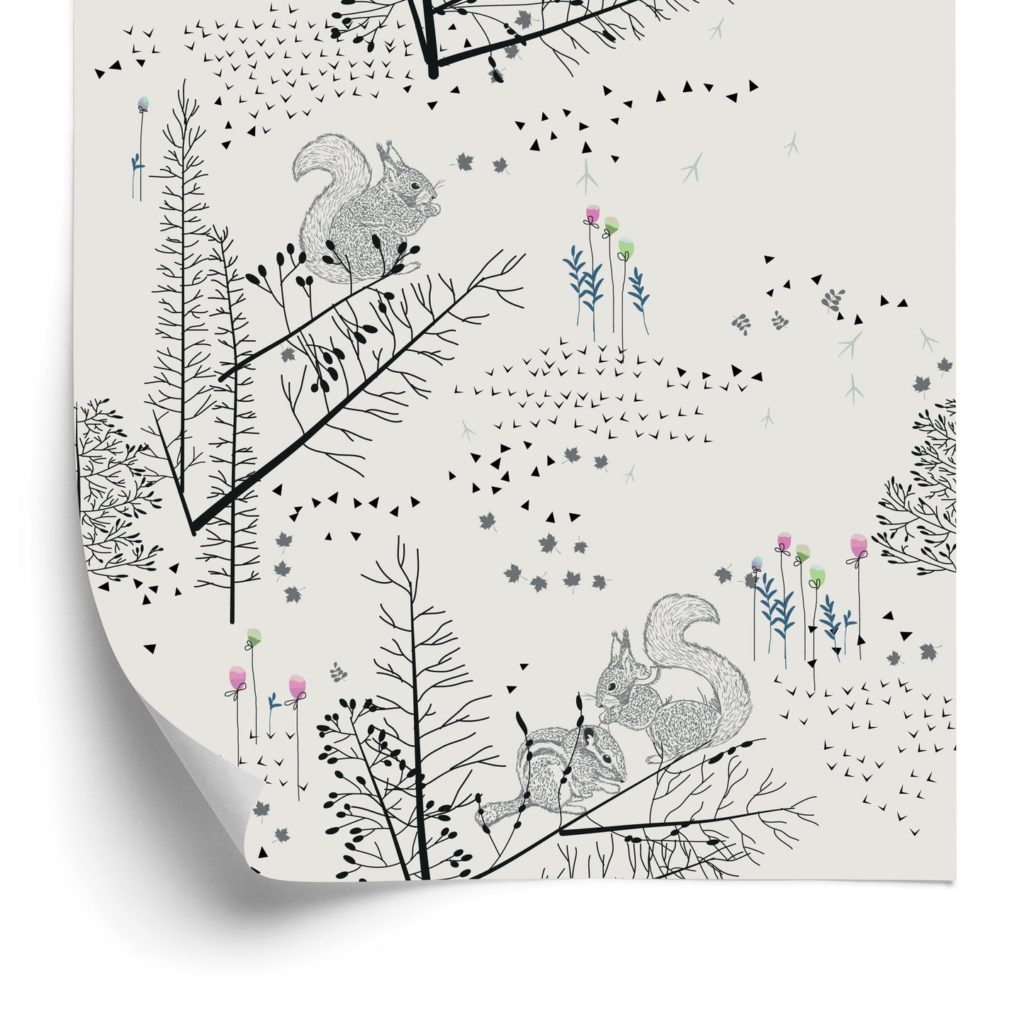Wallpaper Squirrels In The Forest