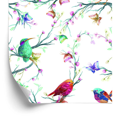 Wallpaper Colorful Birds On Colored Background
