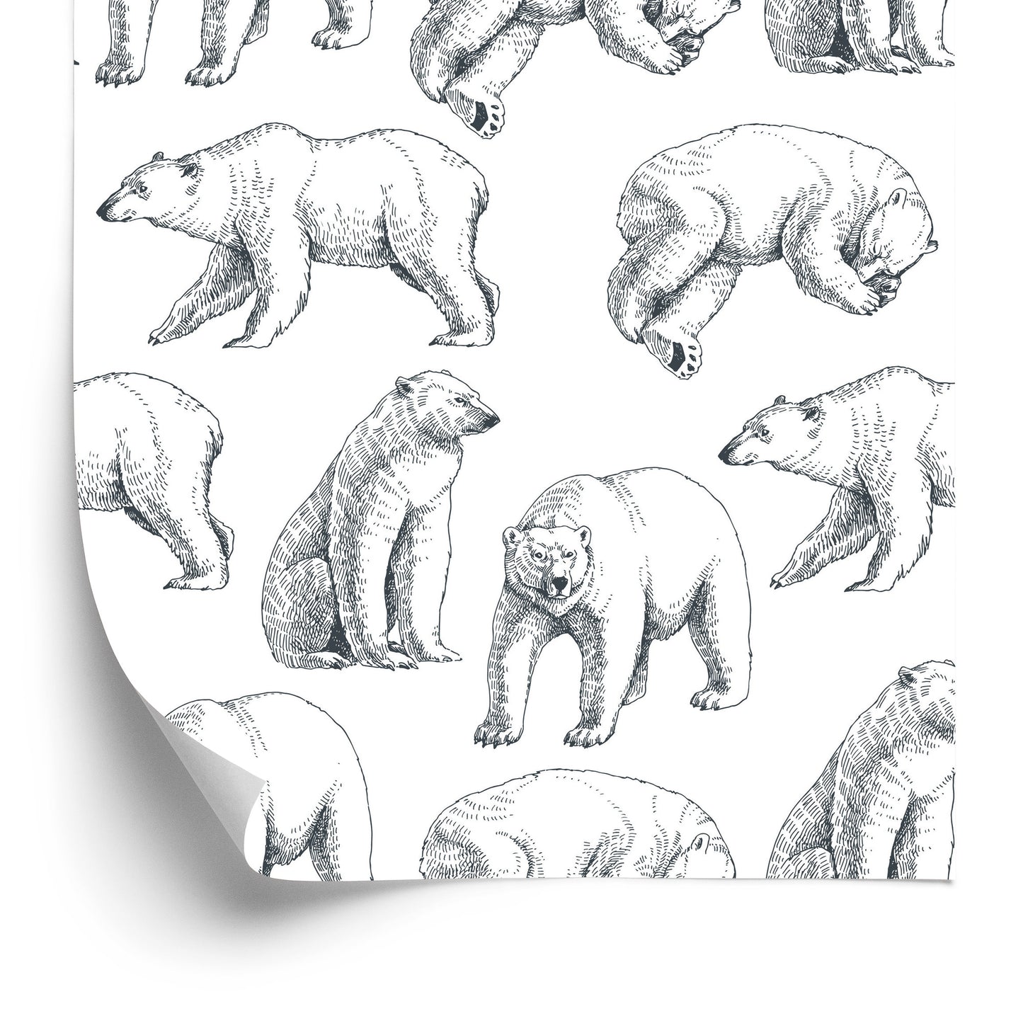 Wallpaper Polar Bears