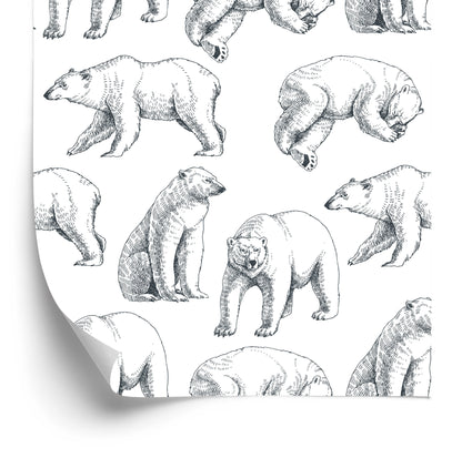 Wallpaper Polar Bears