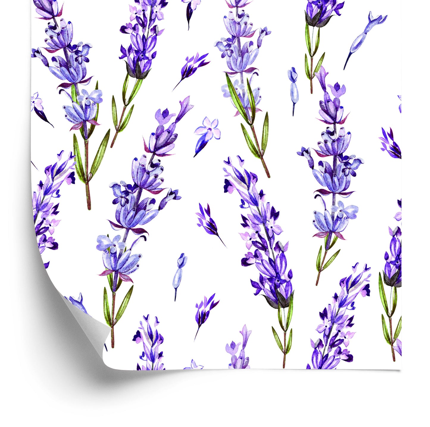Wallpaper Violet Flowers