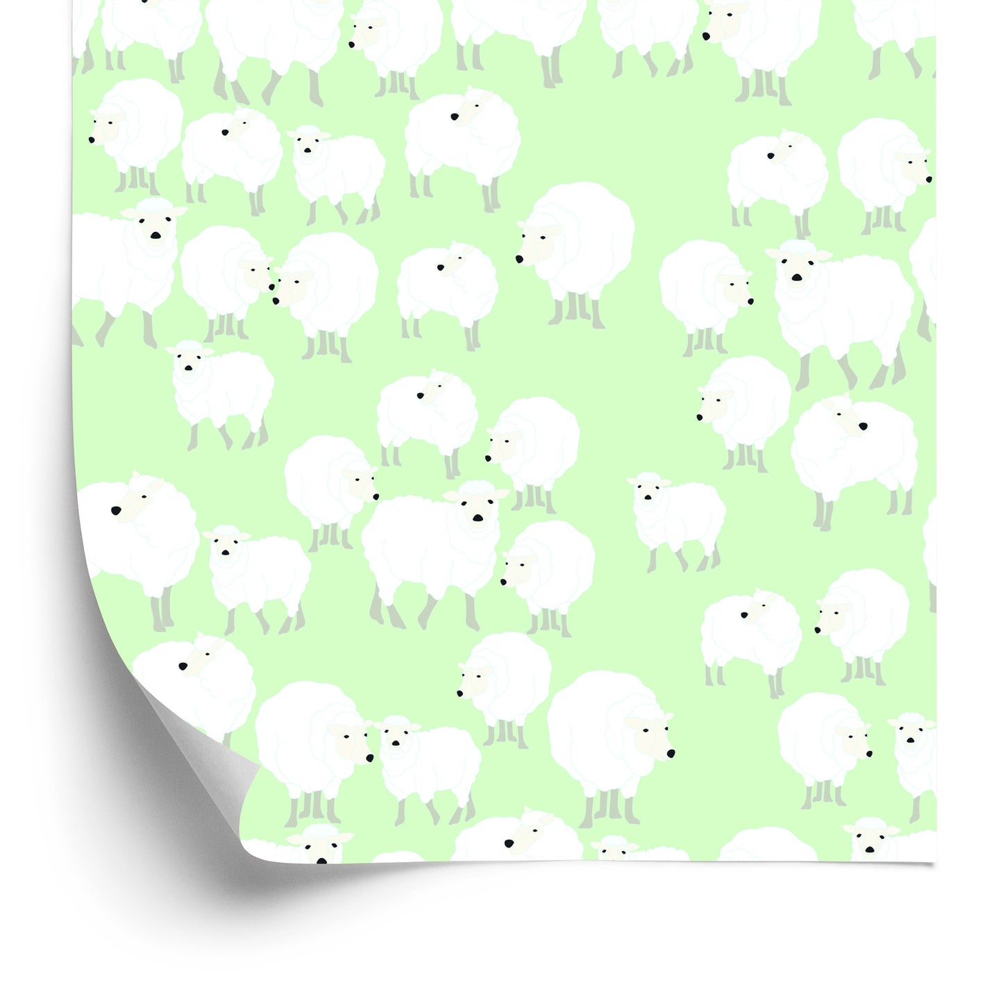 Wallpaper Sheeps On A Green Background