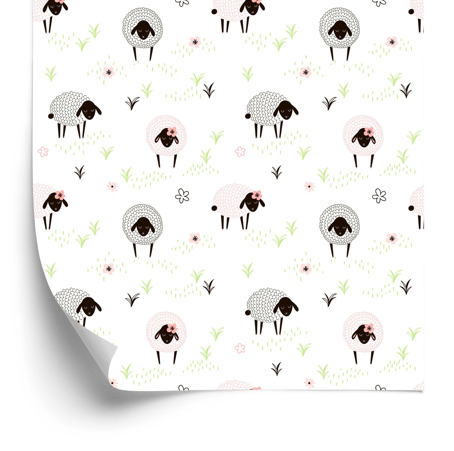Wallpaper Sheeps On A Meadow