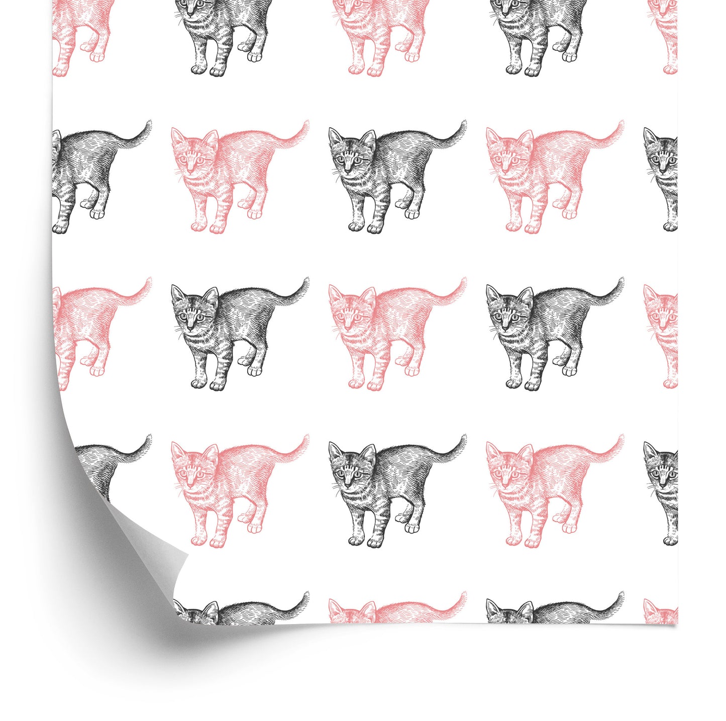 Wallpaper Pastel Cats