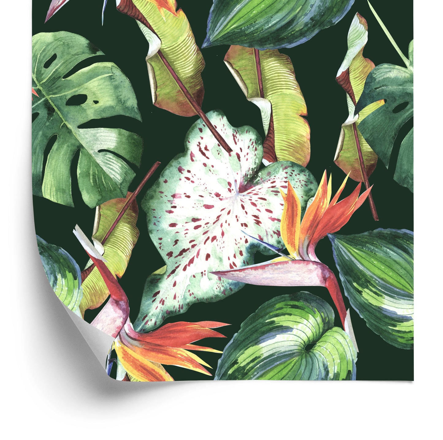 Wallpaper Flowers From The Garden Of Eden And Tropical Leaves