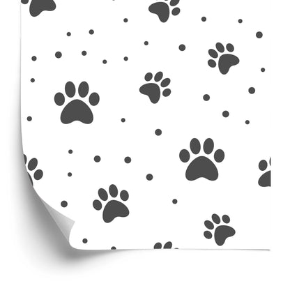 Wallpaper Grey Dog Paws On White Background