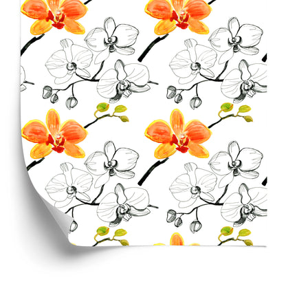 Wallpaper For The Salon Flowers Orchids Orchid Nature