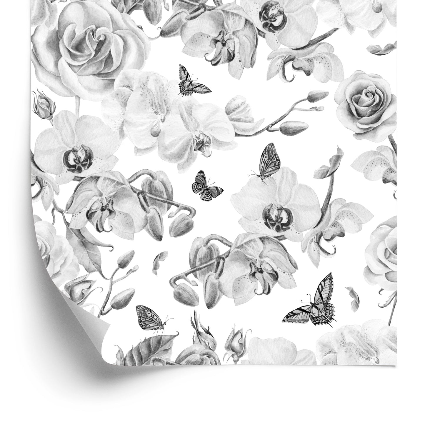 Wallpaper Flowers, Nature, Plants, Orchids