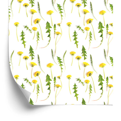 Wallpaper Dandelion Flowers With Leaves