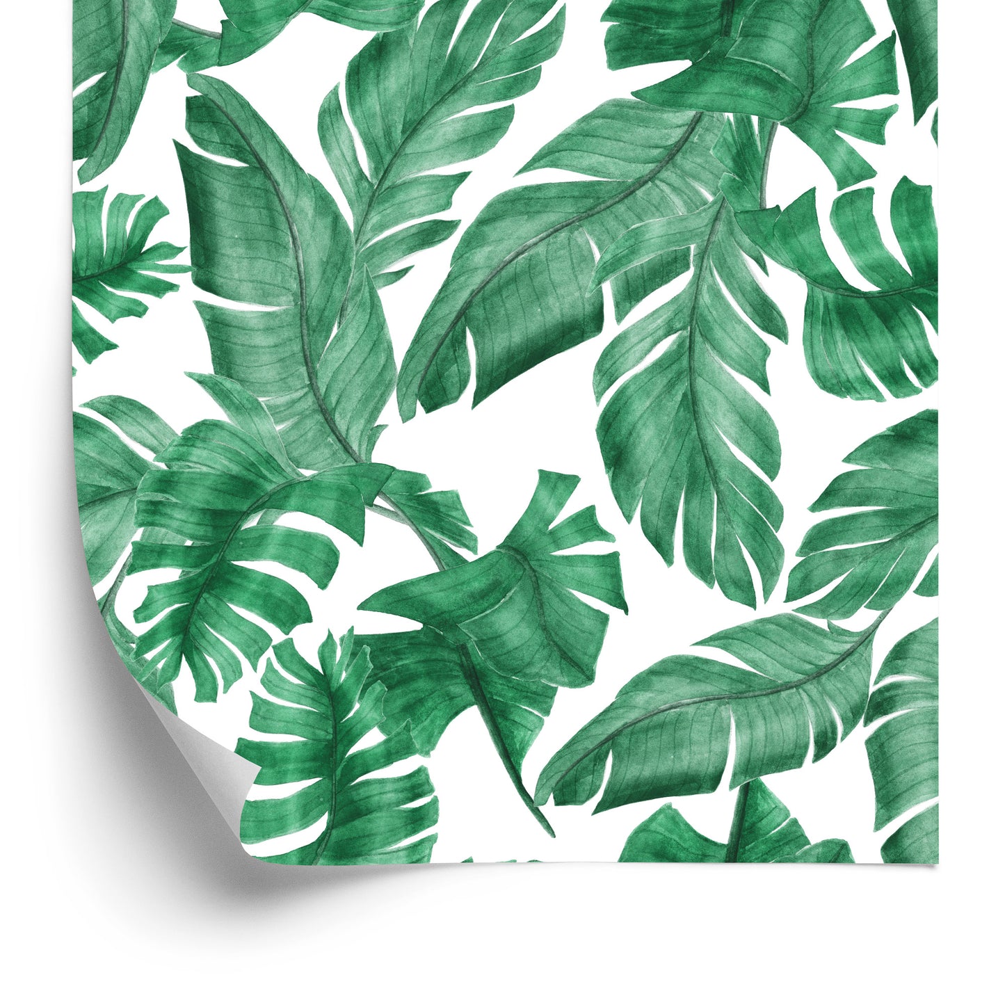 Wallpaper Banana Leaves