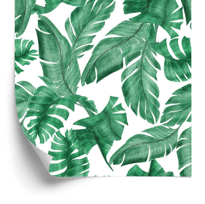 Wallpaper Banana Leaves