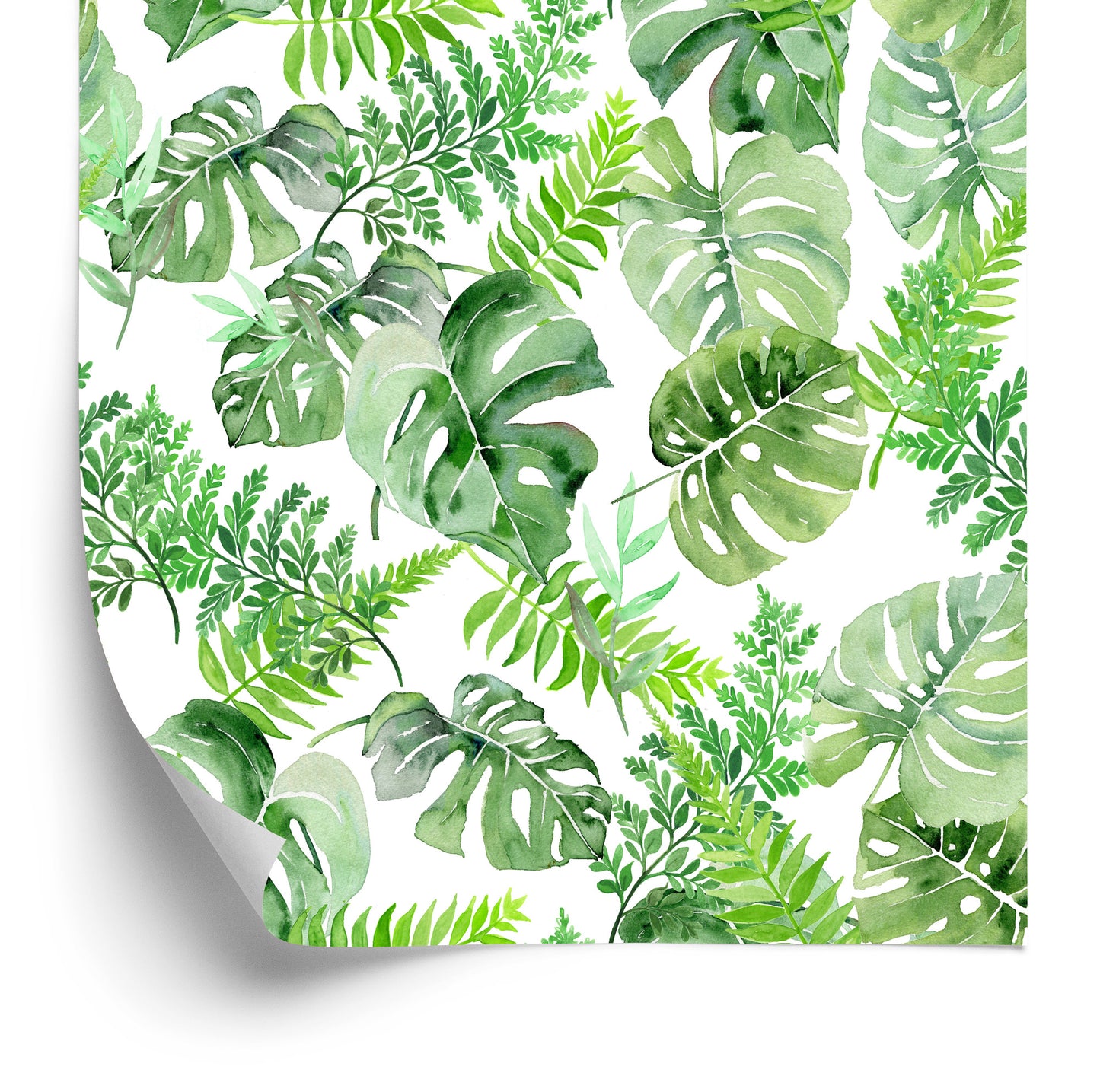 Wallpaper Tropical Leaves Painted With Watercolor