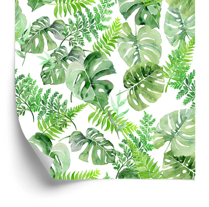 Wallpaper Tropical Leaves Painted With Watercolor