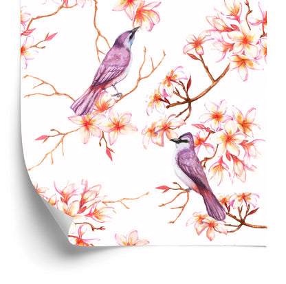 Wallpaper Beautiful Colorful Birds