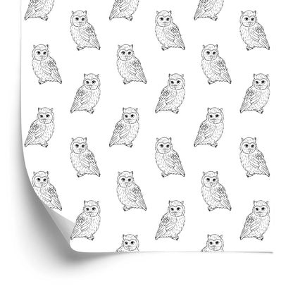 Wallpaper Friendly Owls
