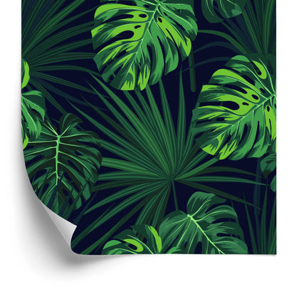 Wallpaper Tropical Monstera Leaves On Dark Background