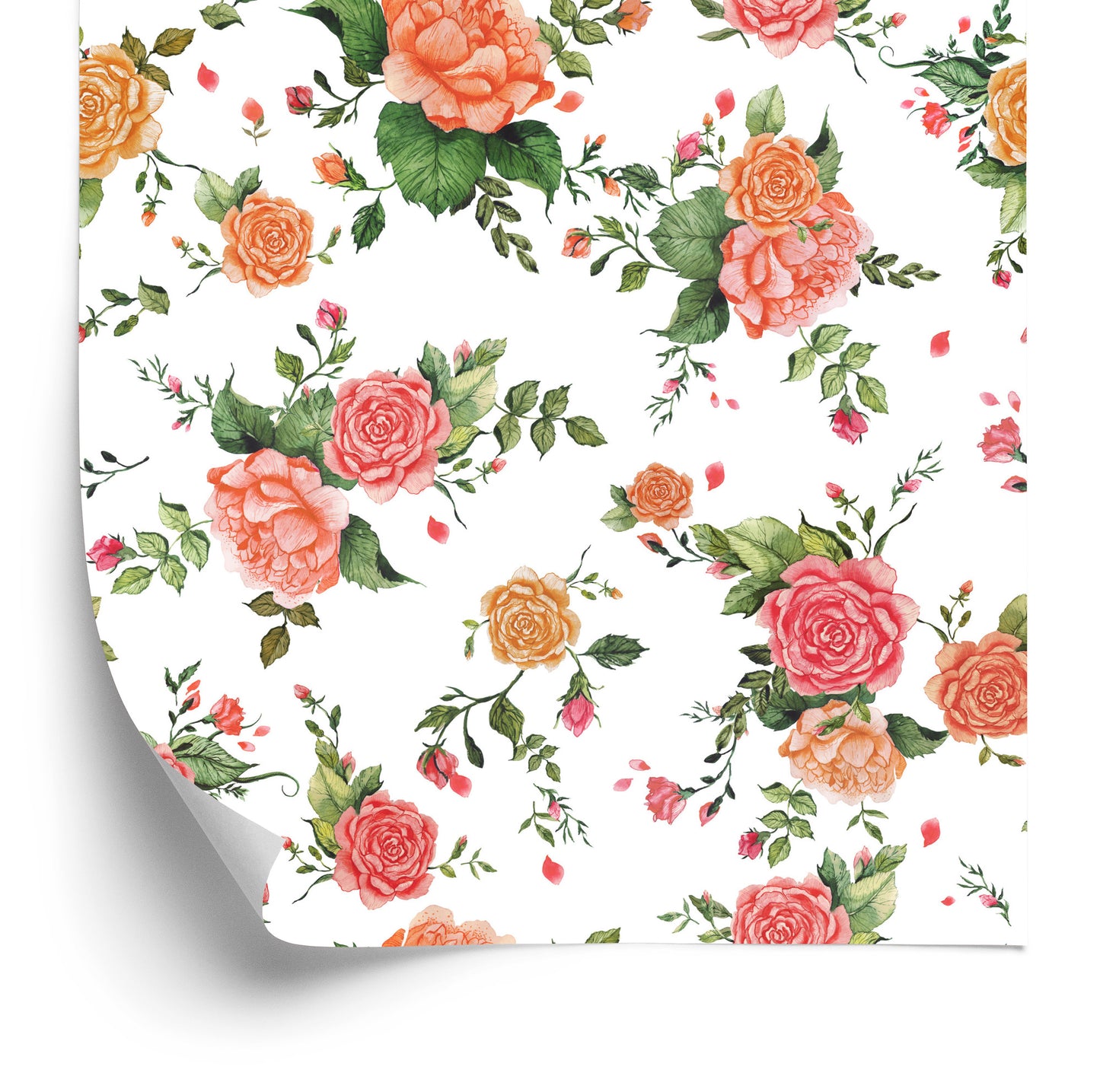 Wallpaper Colorful Roses - Watercolor