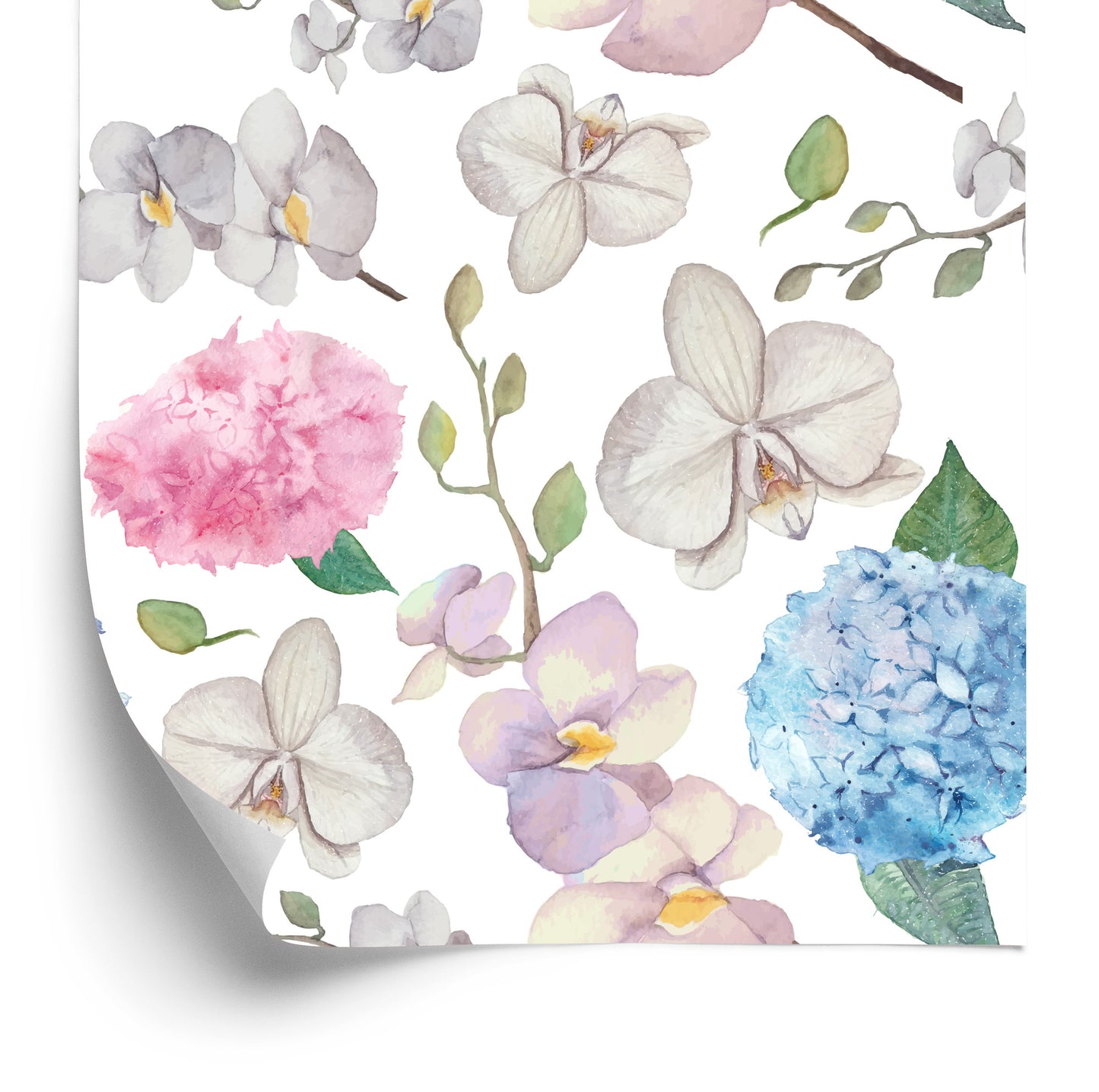 Wallpaper For Living Room Nature Flowers Orchid Orchid
