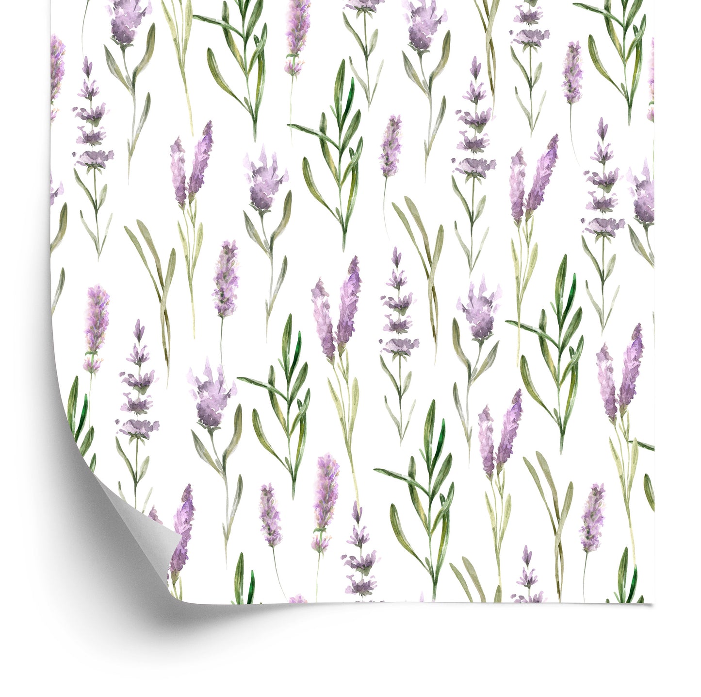 Wallpaper Lavender