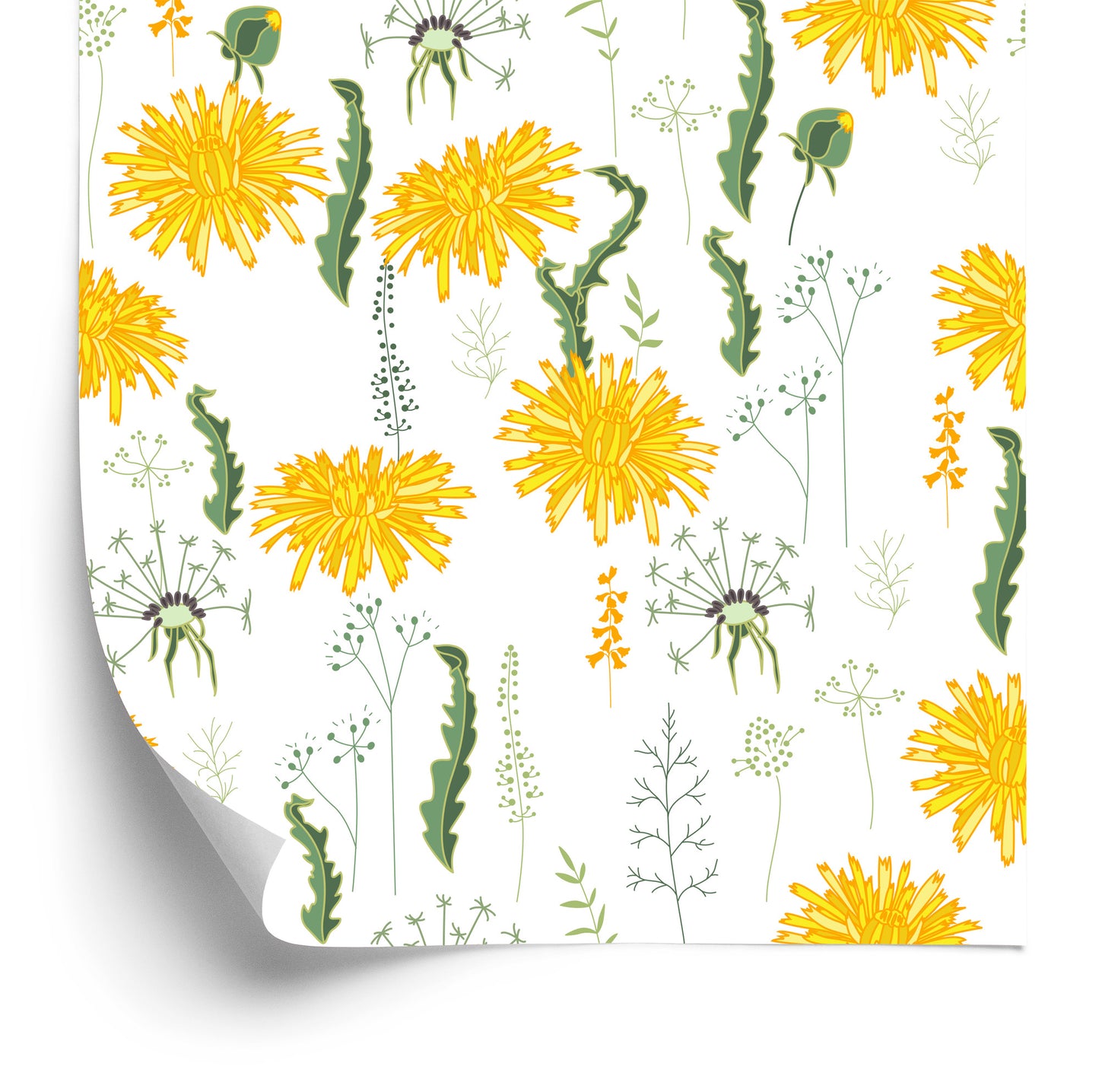 Wallpaper Dandelion Flowers With Field Plants